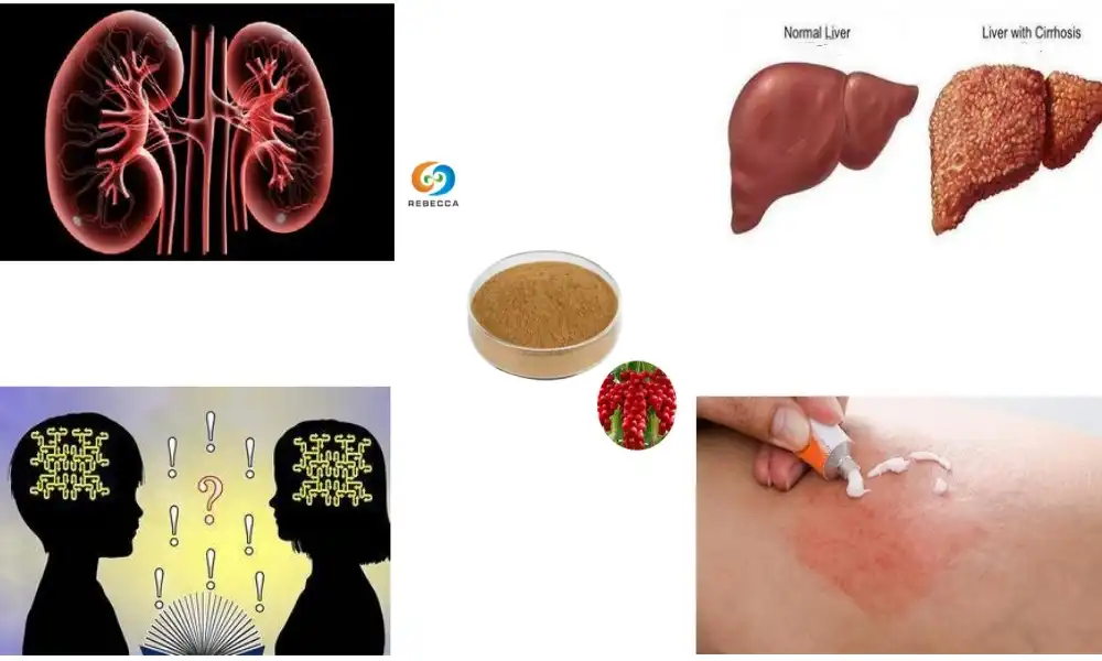What is the effect of schisandra chinensis?